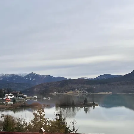 Serenity * Colibita